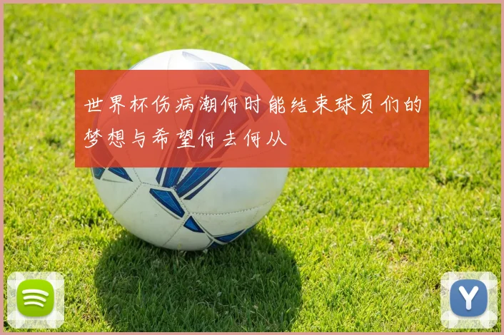 世界杯伤病潮何时能结束球员们的梦想与希望何去何从