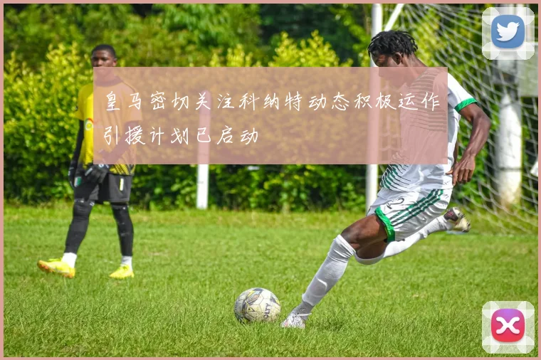 皇马密切关注科纳特动态积极运作引援计划已启动